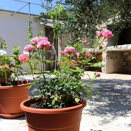 Apartment By The Sea Dingac - Potocine, Peljesac - 10433