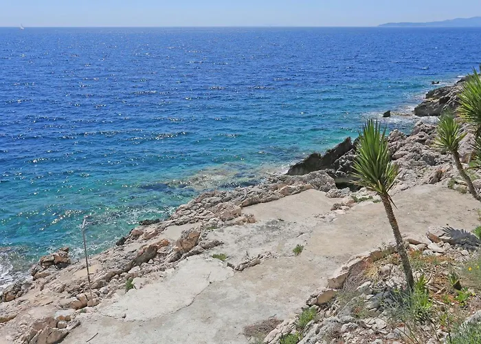 Apartment By The Sea Dingac - Potocine, Peljesac - 10433 *
