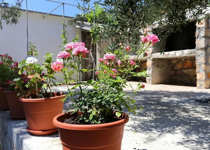 Apartment By The Sea Dingac - Potocine, Peljesac - 10433