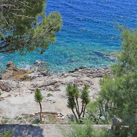 By The Sea Dingac - Potocine, Peljesac - 10433 *