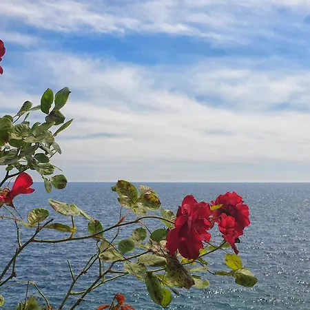 By The Sea Dingac - Potocine, Peljesac - 10433 Lejlighed *