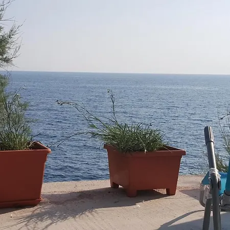 By The Sea Dingac - Potocine, Peljesac - 10433