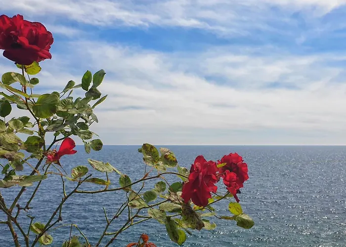 By The Sea Dingac - Potocine, Peljesac - 10433 Apartament *